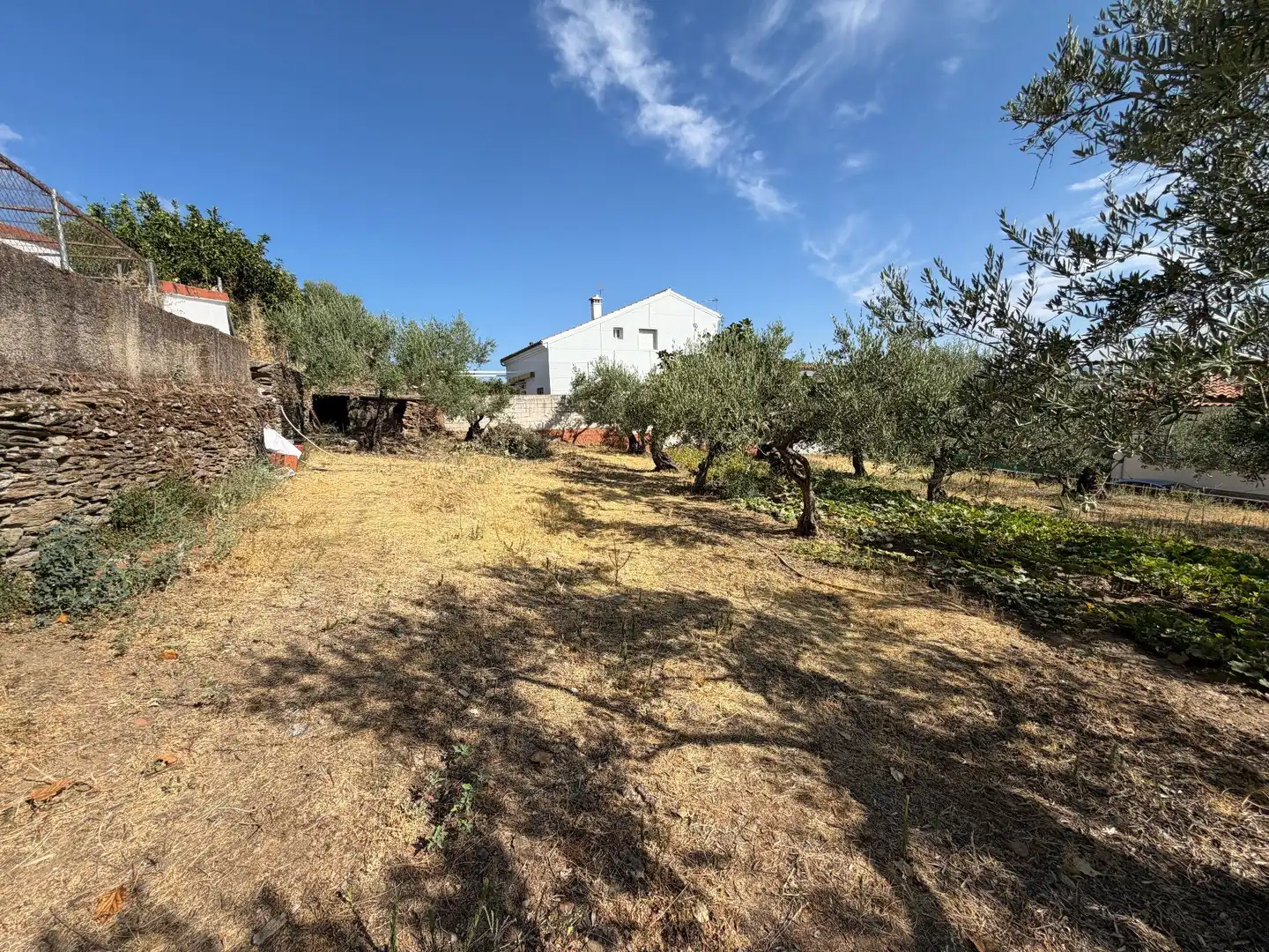 Terreni e lotti in vendita a Malpartida de Plasencia, imagen 4