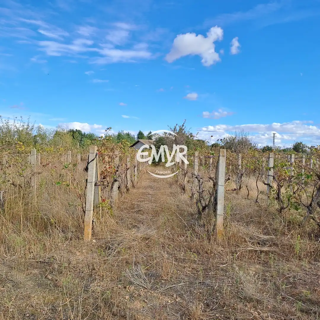 Villa avec jardin à vendre à Área Rural, imagen 20