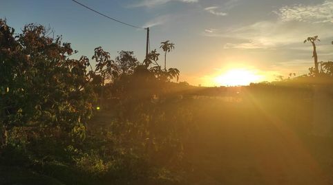 Foto 2 de Casa o xalet en venda a La Goronita, El Pinar de El Hierro, Santa Cruz de Tenerife