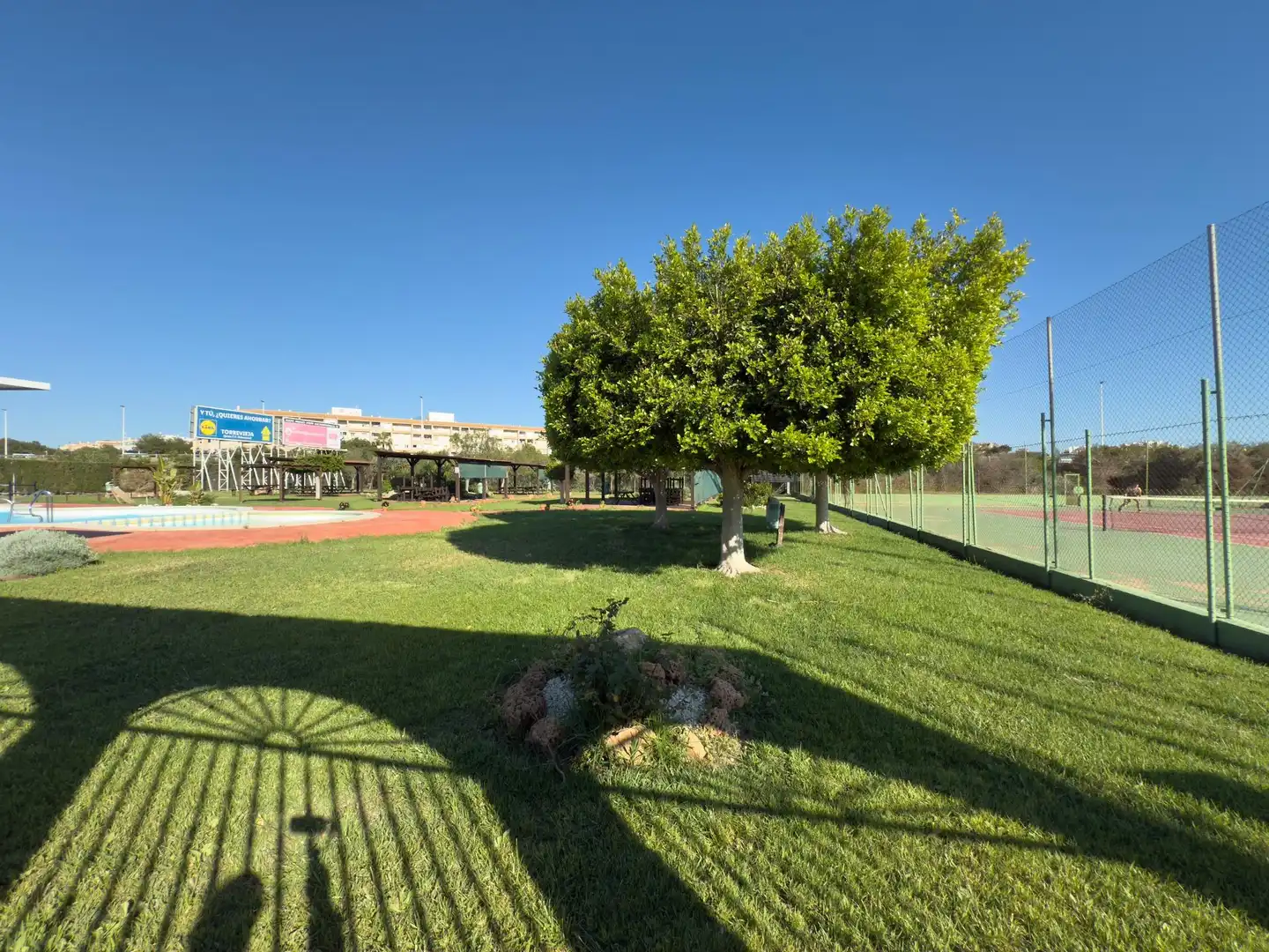 Garden of Houses for sale in Torrevieja  with Terrace, Furnished and Community pool