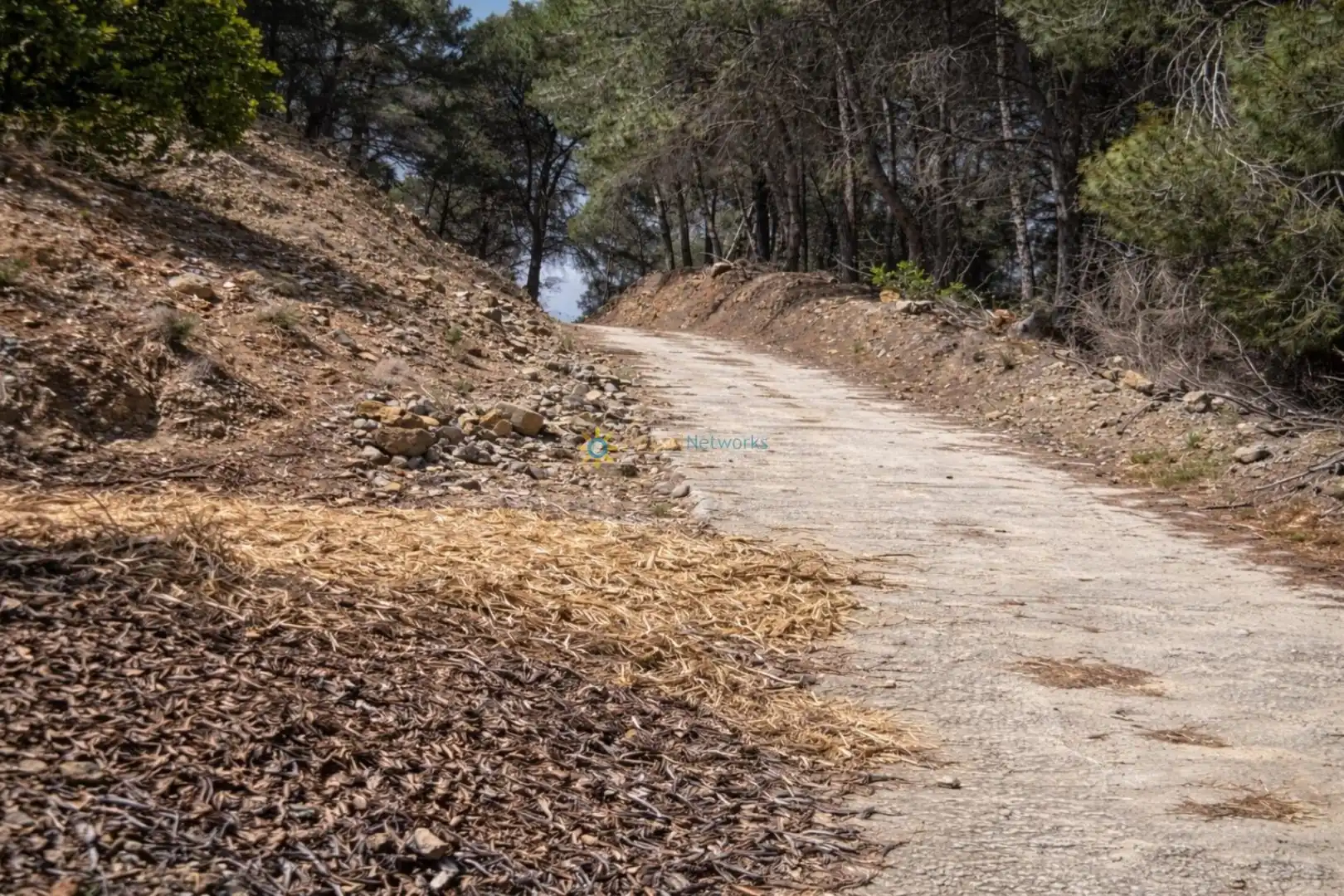 Vista exterior de Casa o xalet en venda en Alfauir amb Jardí privat, Terrassa i Forn