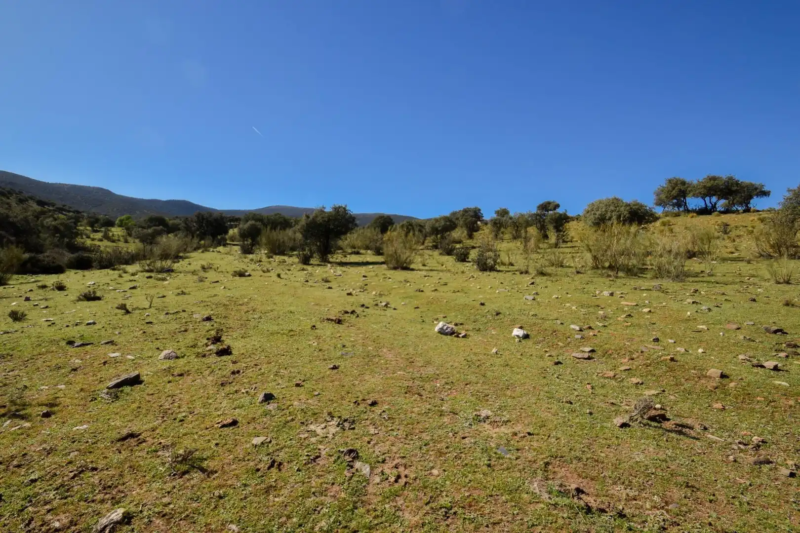Terreno en venta en Paraje de las Perdices, Lugros