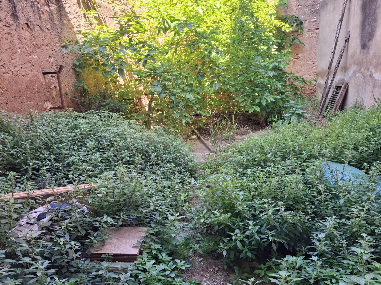 Garden of Houses for sale in Castellón de la Plana / Castelló de la Plana