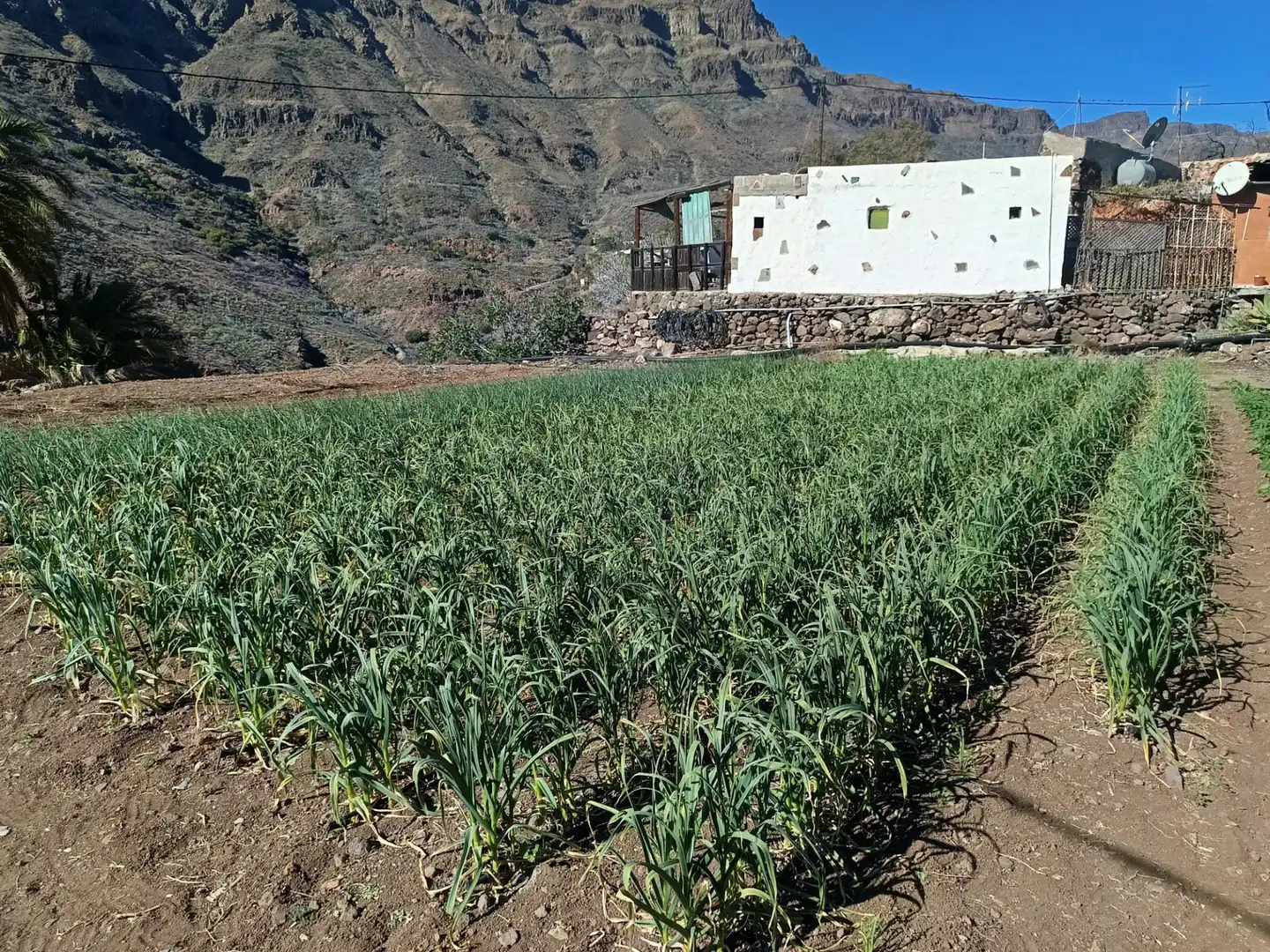 Casa o xalet en venda en Santa Lucía de Tirajana amb Calefacció, Jardí privat i Rentadora