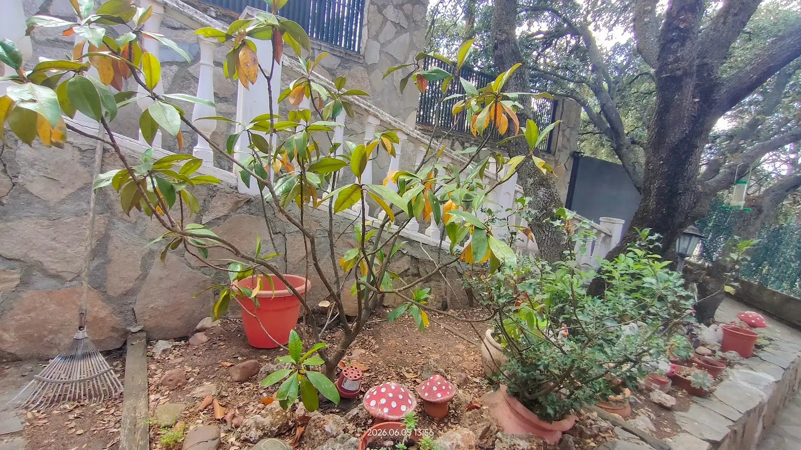 Jardí de Casa o xalet en venda en El Casar amb Calefacció, Jardí privat i Terrassa