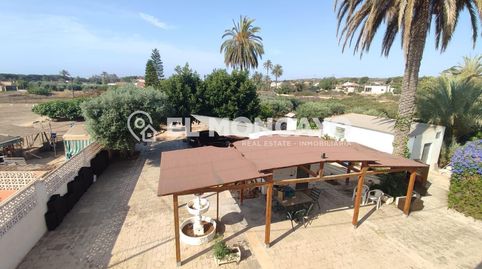 Fantástica casa de campo con amplia parcela junto al Pinet, La Marina, Alicante, imatge 3