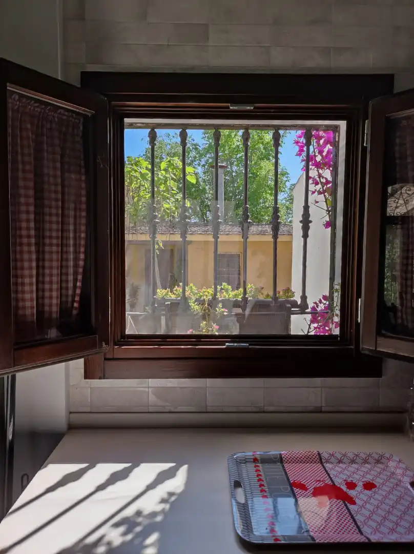 Jardín de Casa o chalet en venta en Ciudad Real con Aire acondicionado, Calefacción y Jardín privado