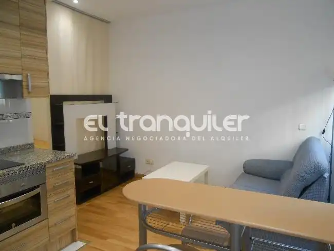 Sala de estar de Estudio de alquiler en Madrid con Aire acondicionado, Amueblado y Lavadora