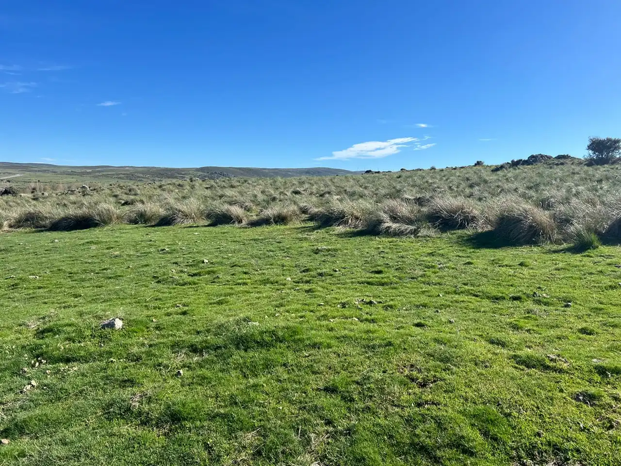 Terreni e lotti in vendita a Tornadizos de Ávila, imagen 6