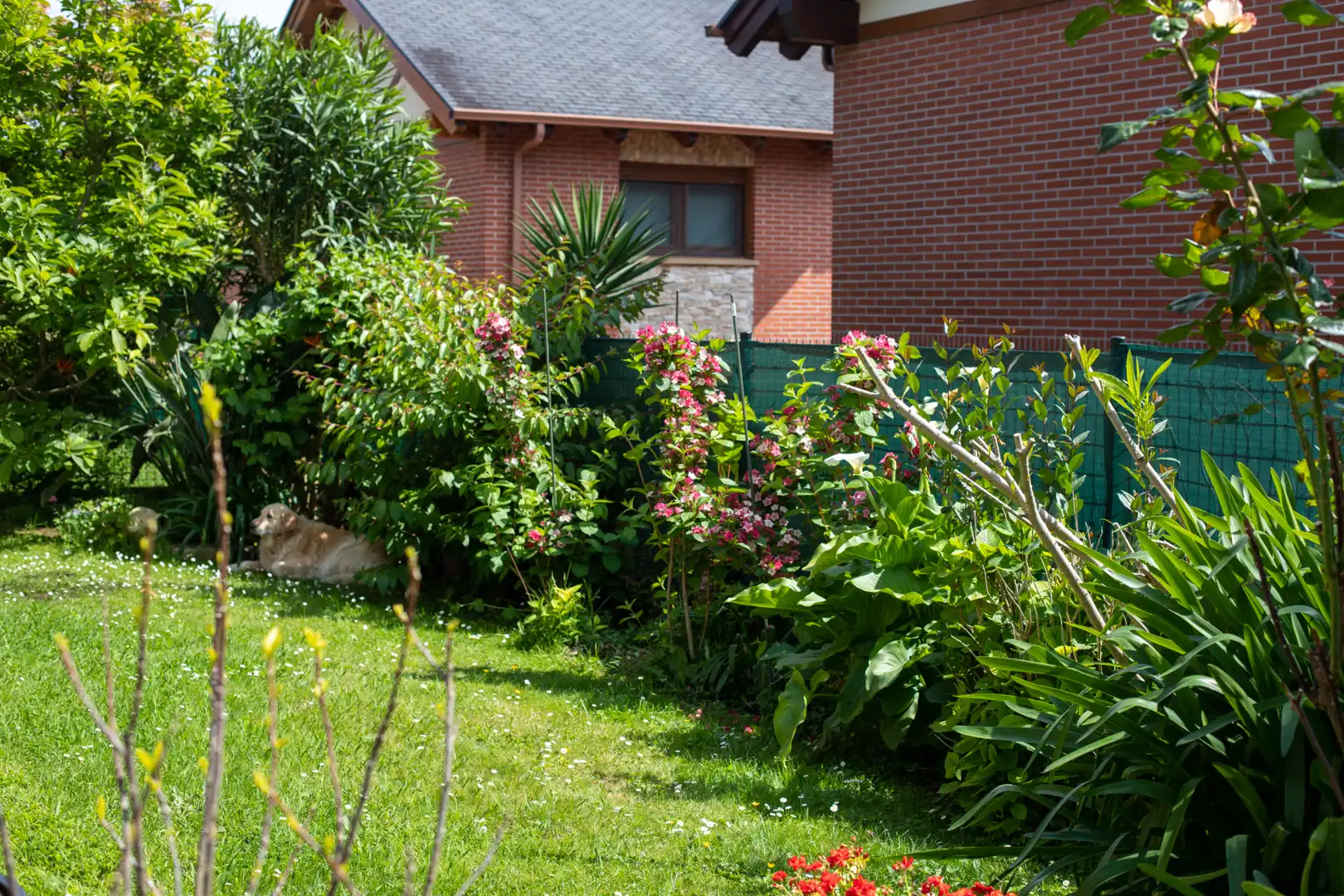 Jardí de Casa o xalet en venda en Piélagos amb Calefacció, Jardí privat i Terrassa