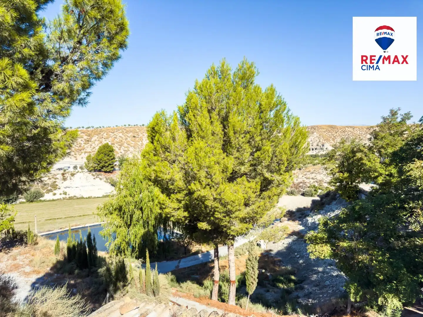 Jardí de Finca rústica en venda en Benamaurel amb Jardí privat, Terrassa i Traster