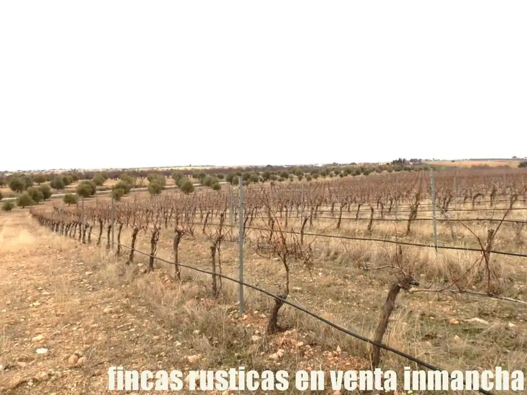 Terreni e lotti in vendita a Sonseca, imagen 8