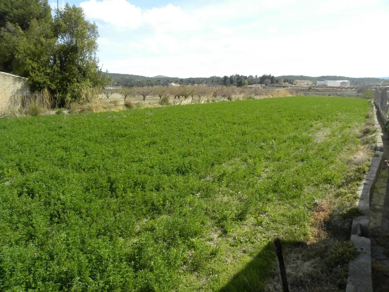 Residential land for sale in Caravaca de la Cruz, imagen 4