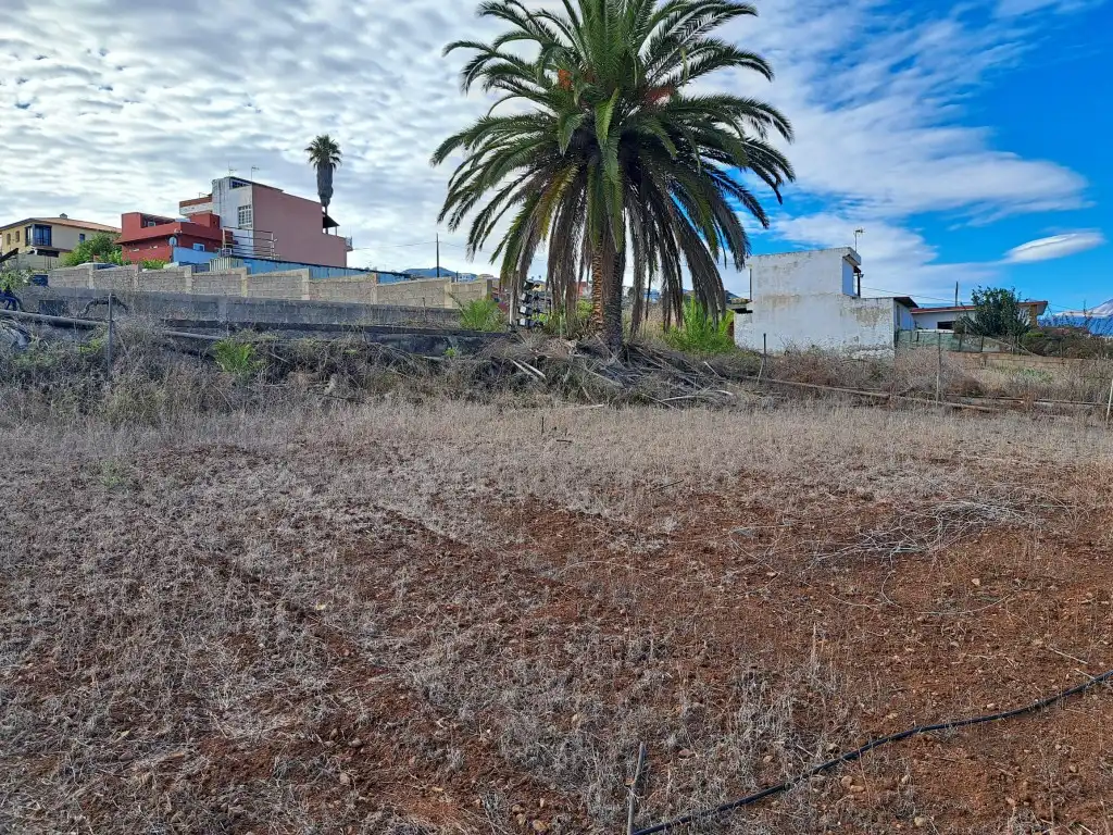 Rural land for sale in El Sauzal, imagen 10