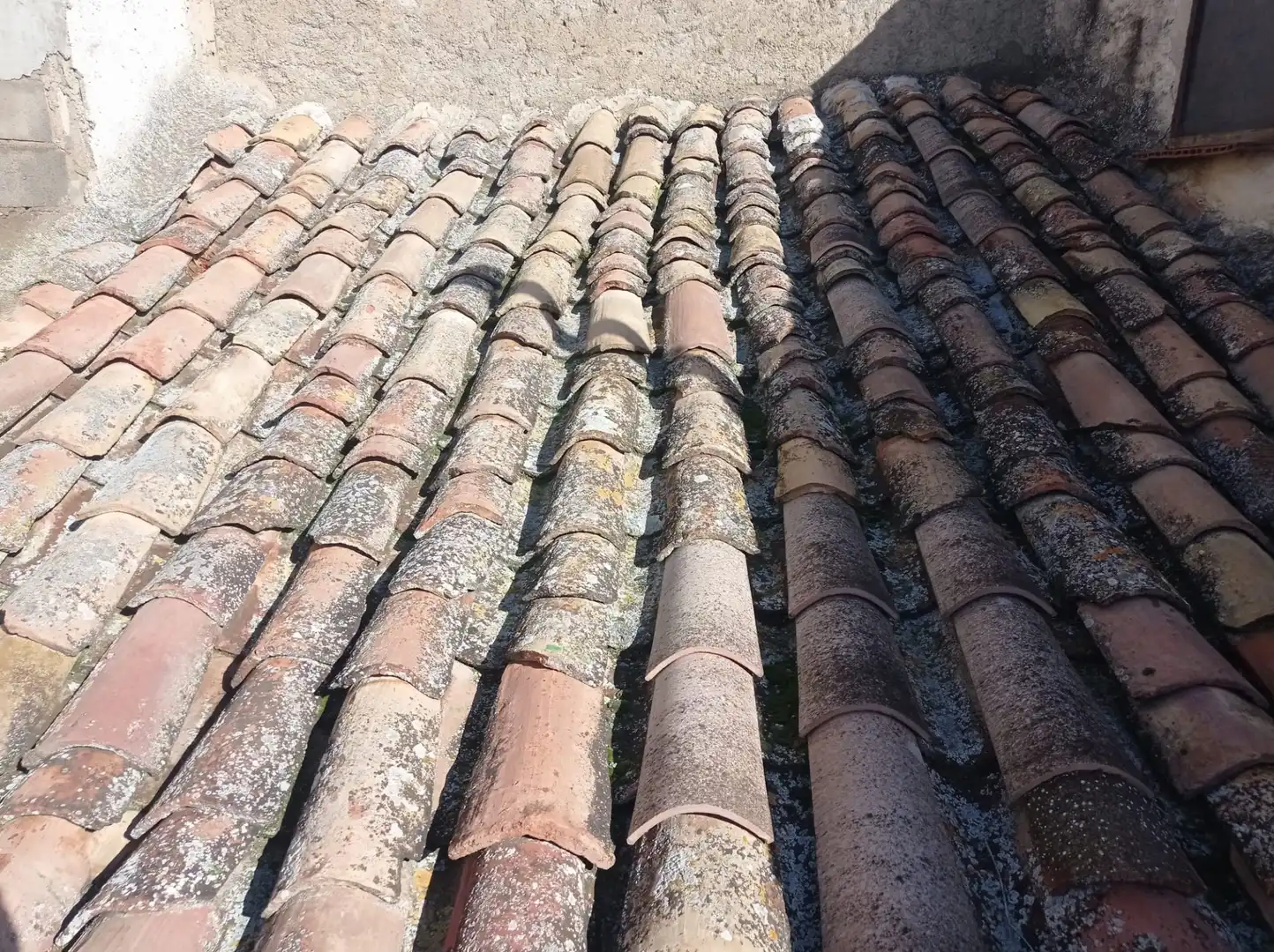 Finca rústica en venta en Almunia de San Juan