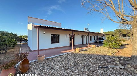 Foto 2 de Finca rústica en venta en Lepe, Huelva