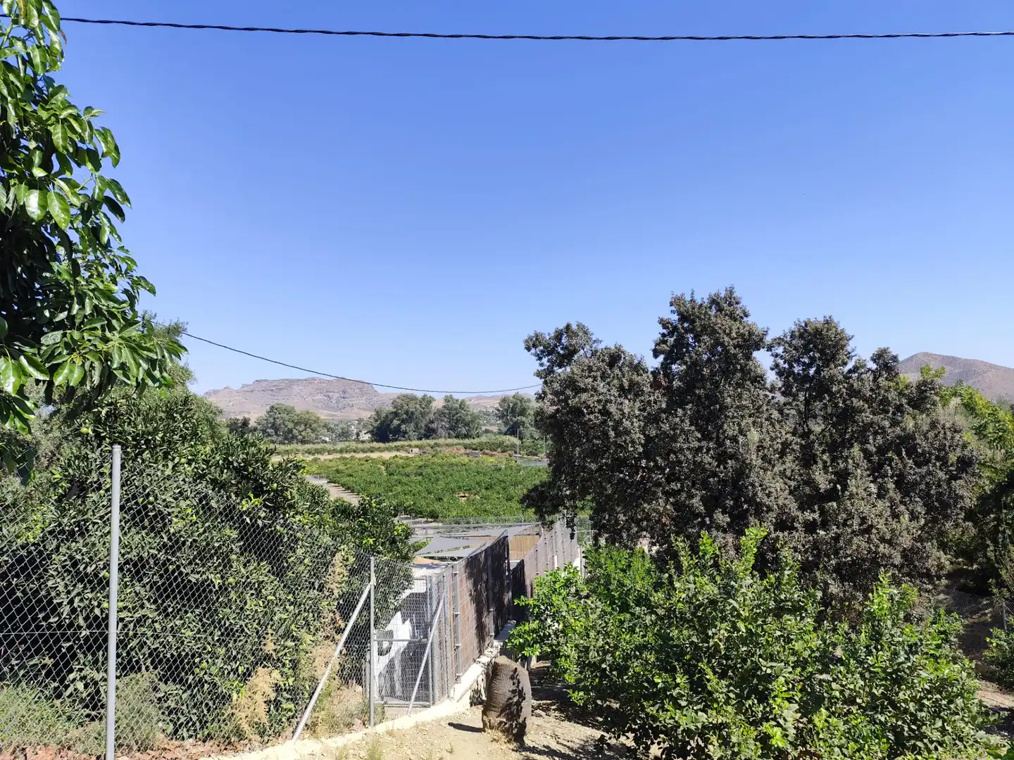 Maison rustique avec jardin à vendre à Casalpalma - Fahala, imagen 26