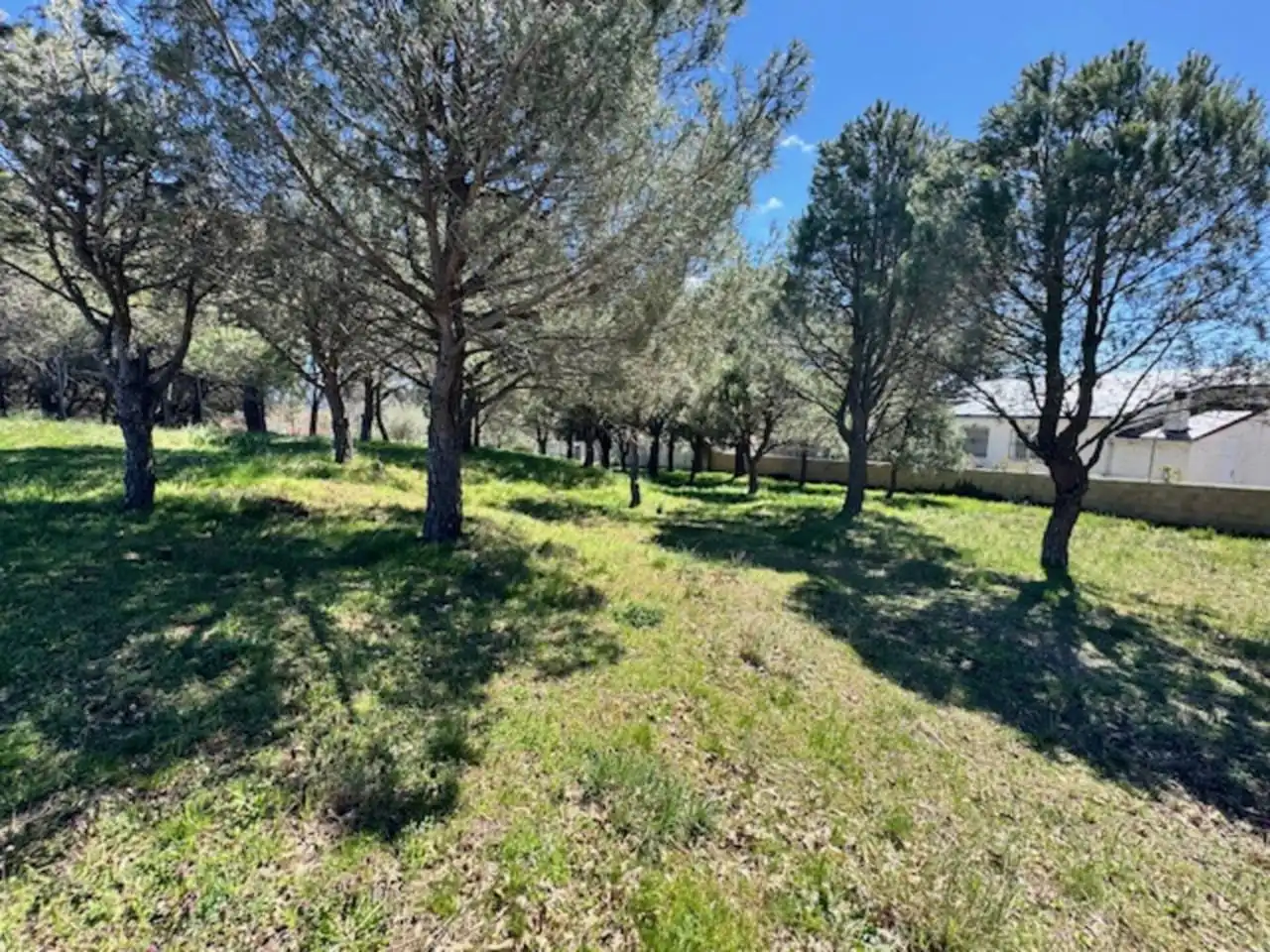 Terreny residencial en venda a Calle La Jara, imagen 3