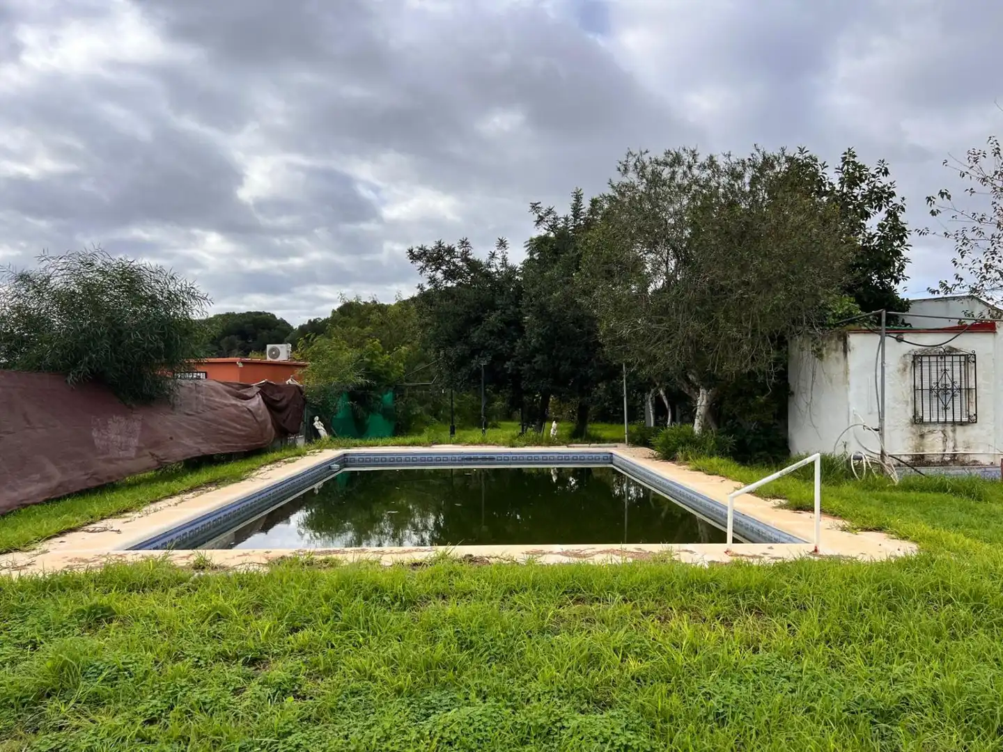 Piscina de Casa o chalet en venta en Los Palacios y Villafranca con Piscina