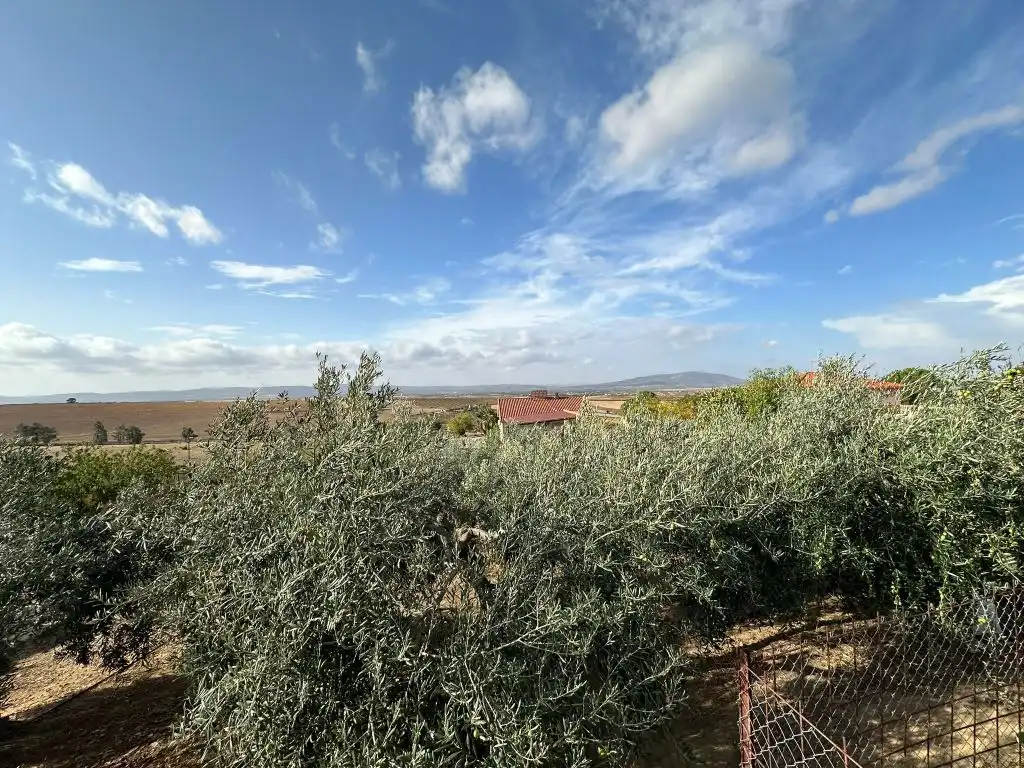 Casa o xalet en venda en Magacela amb Jardí privat, Terrassa i Piscina