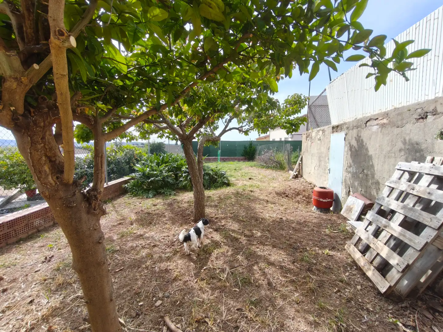 Casa o chalet en venta en Carrer del Teide, Albinyana