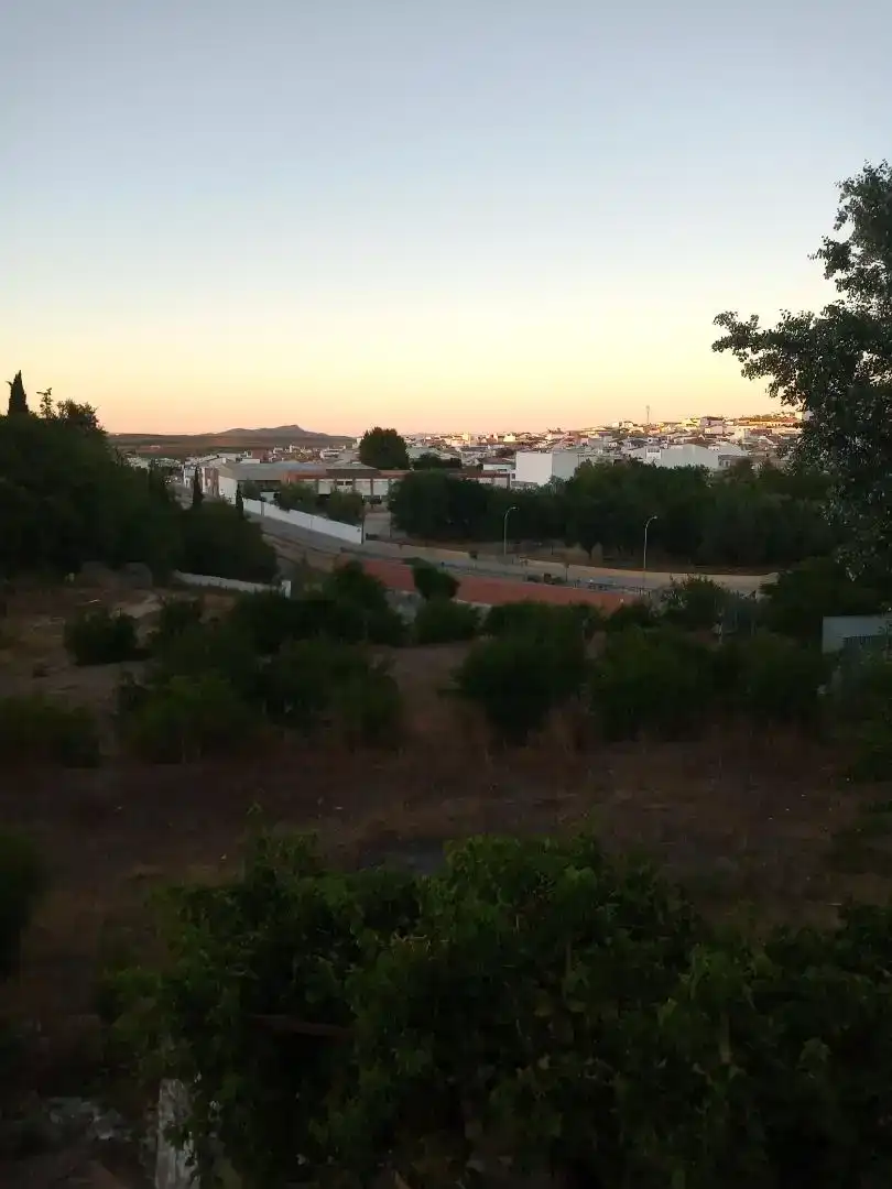 Vista exterior de Finca rústica en venta en Casariche con Trastero, Amueblado y Horno
