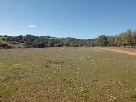 Residential land for sale in Fuente Obejuna, imagen 4