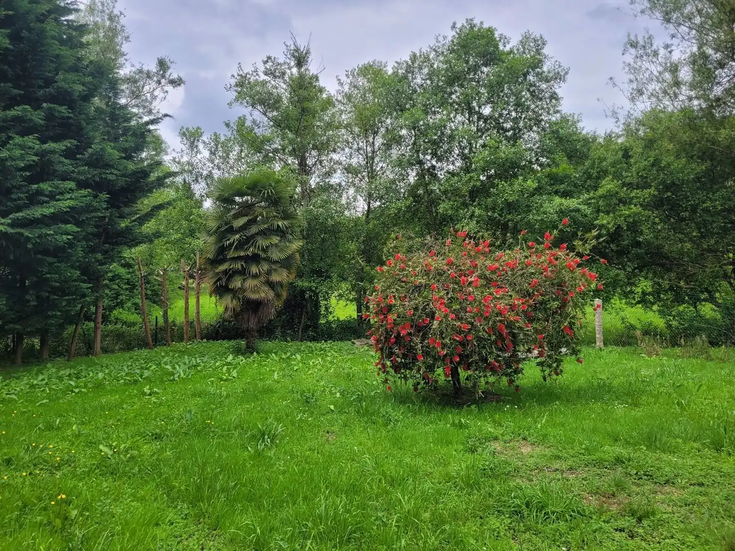 Villa mit Pool zum Verkauf in PO-204 29, imagen 29
