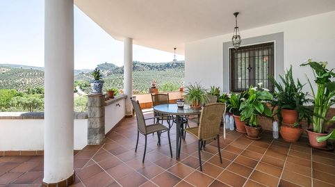 Casa con terreno ubicada en plena naturaleza, a tan solo 2km de Montefrio., imatge 3