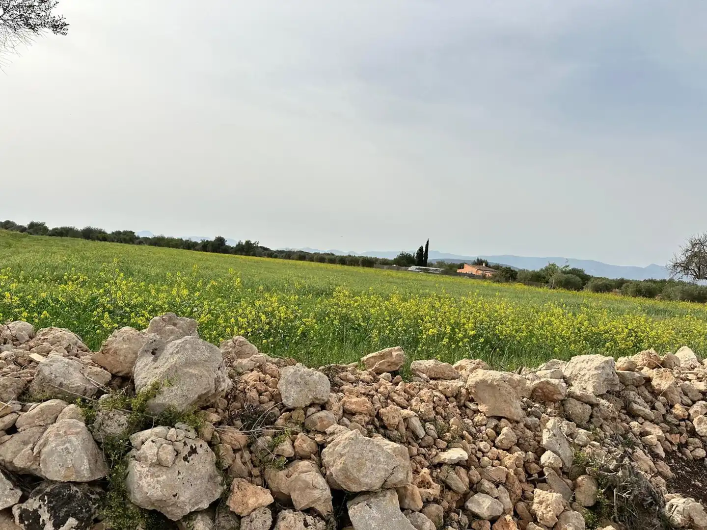 Country homes for sale in Algaida  with Private garden