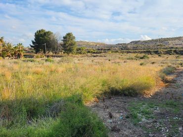 Terreno residencial en venta en Novelda