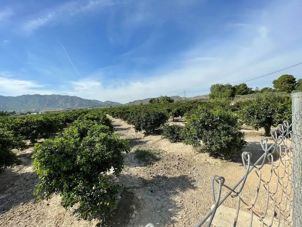 Vista exterior de Terreno en venta en Redován