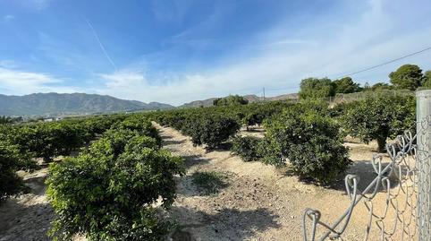 Foto 4 de Terreny en venda a Redován, Alicante