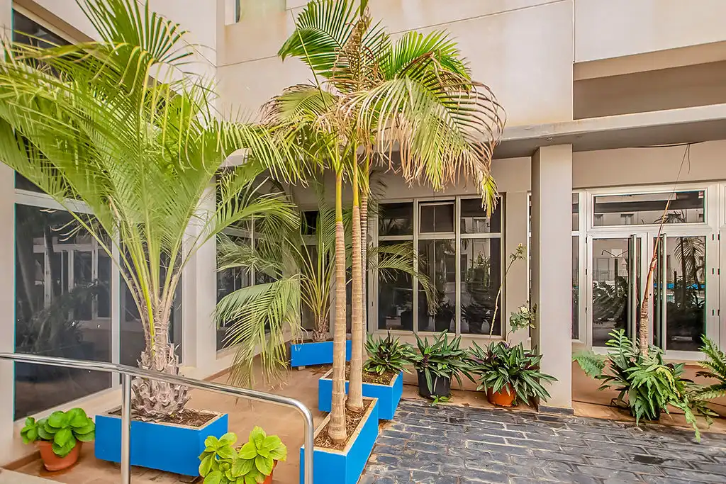 Exterior view of Commercial properties for rent in Gáldar