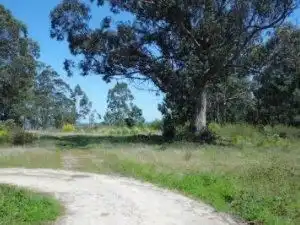 Residential land for sale in Noalla, imagen 4
