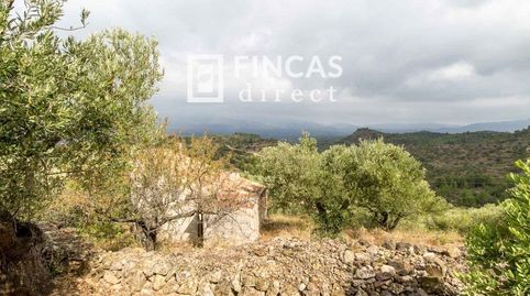 Foto 3 de Finca rústica en venta en Vh23+mw4, Bítem, Tortosa