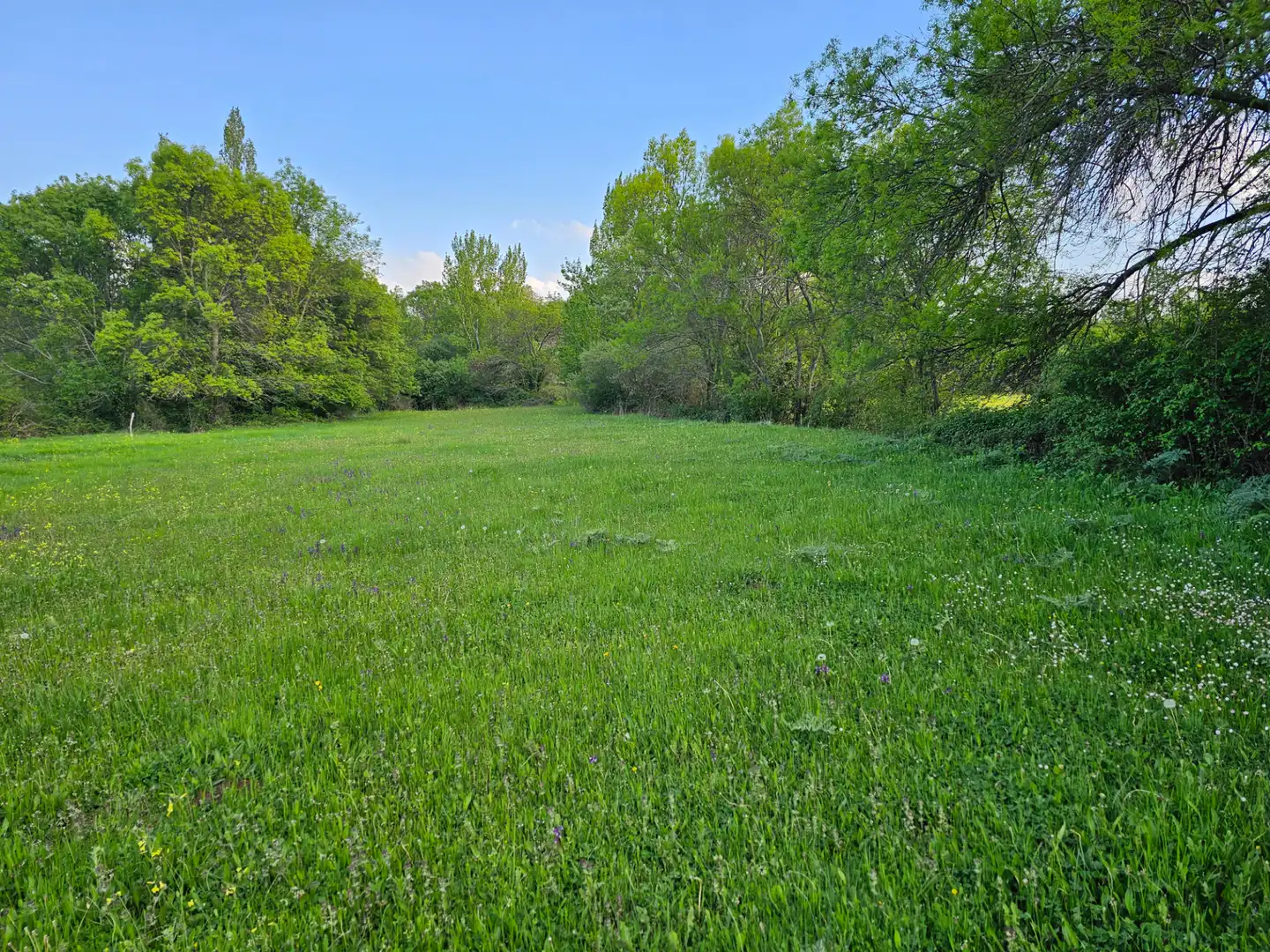 Rural land for sale in Zarzalejo, imagen 5