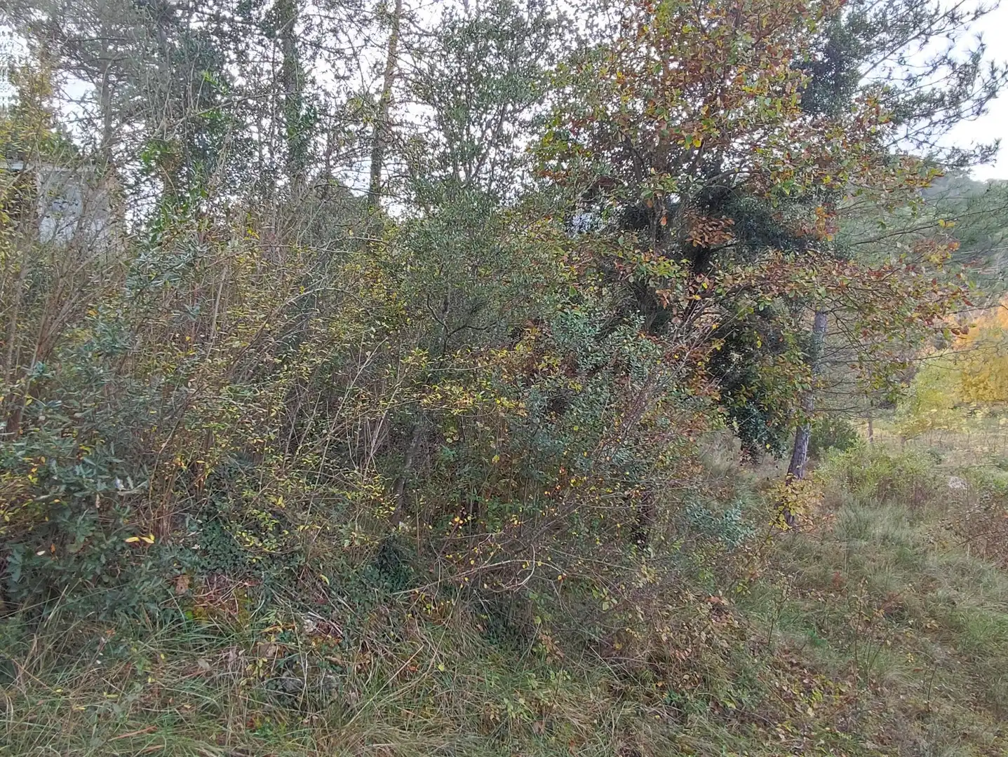 Terrain rustique à vendre à Monistrol de Calders, imagen 21