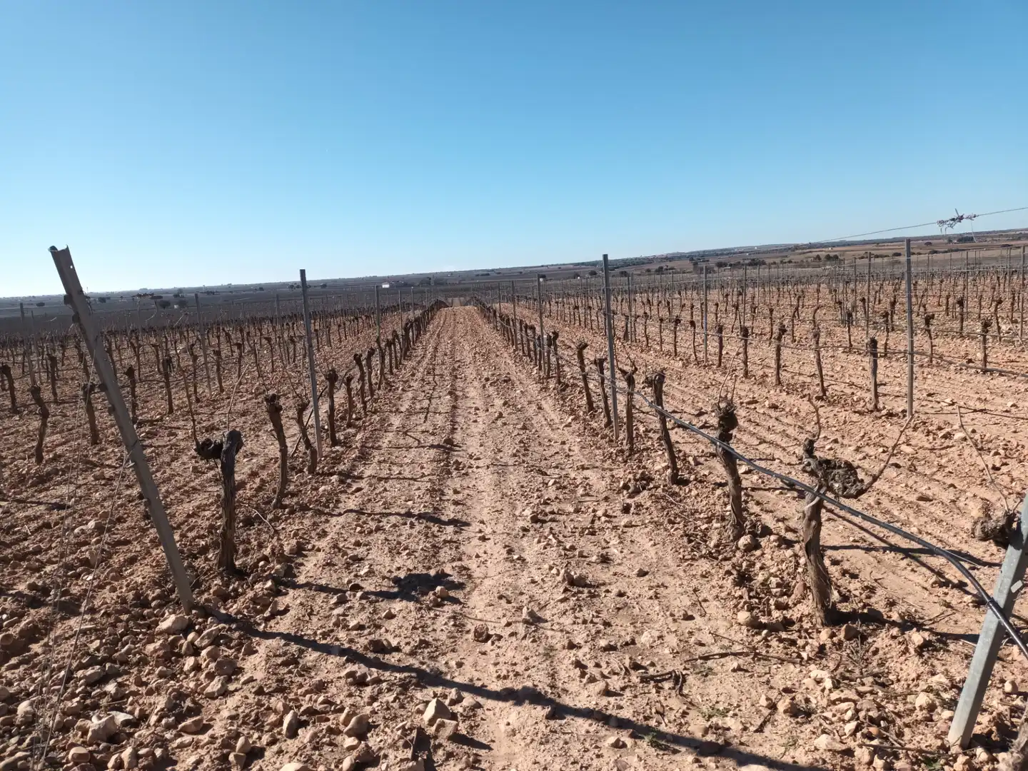 Terrenys i solars en venda a El Toboso, imagen 3