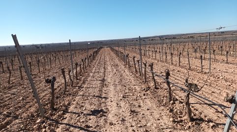 Photo 3 of Land for sale in El Toboso, Toledo