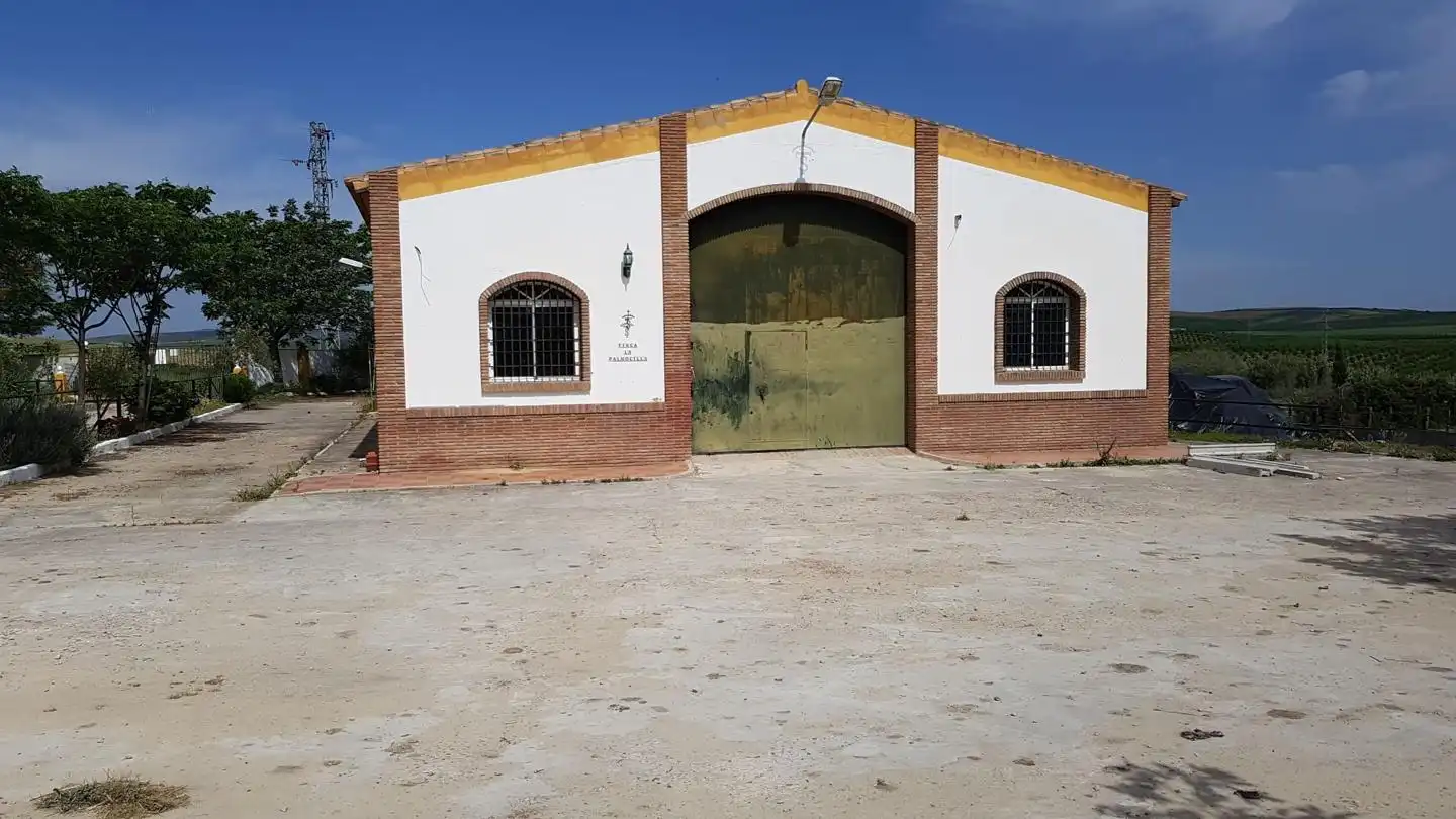 Nave industrial in vendita a Arco- Bornos, imagen 3