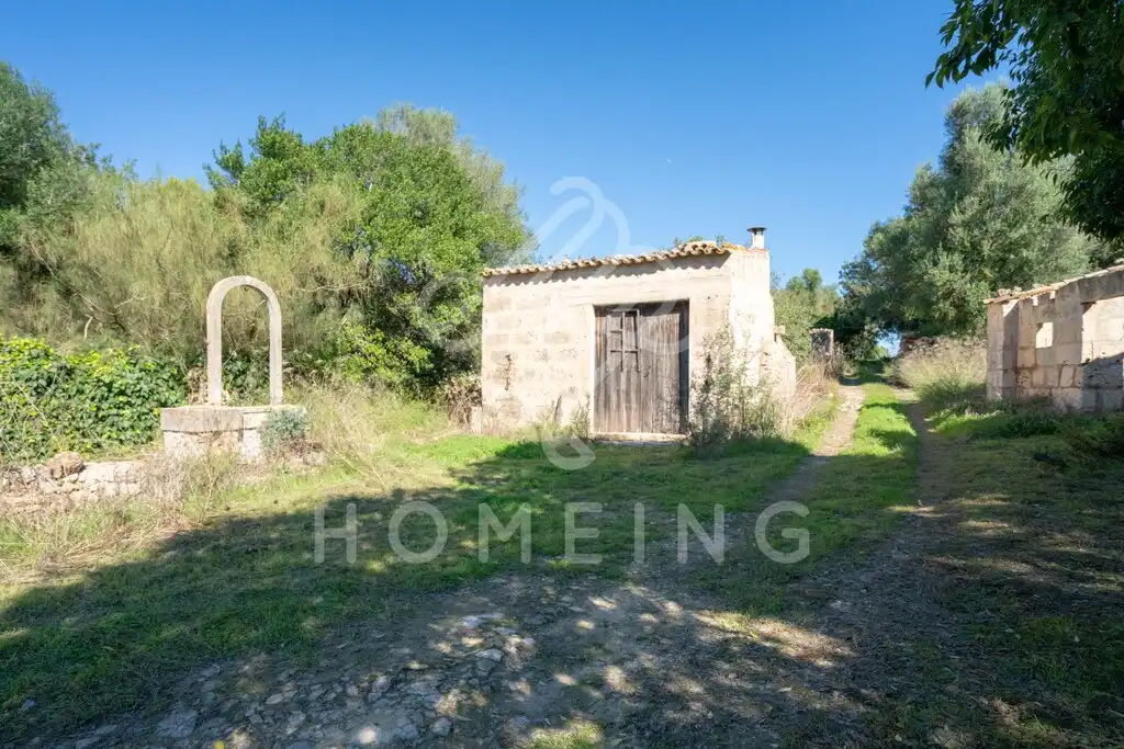 Country house with garden for sale in Costitx, imagen 13