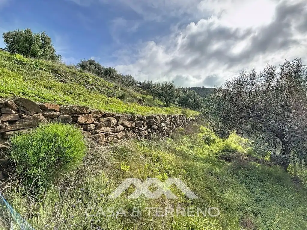 Terreny residencial en venda a Partida Valdeinfierno (Diseminado), imagen 10