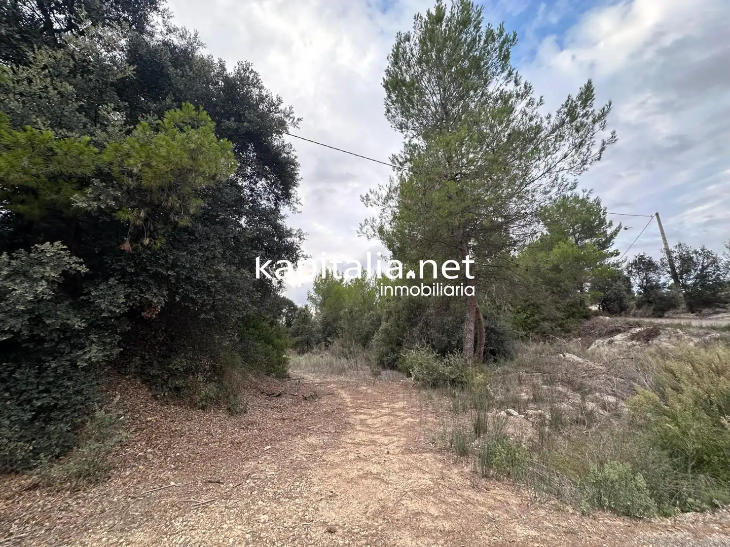 Terreno residencial en venta en Alfafara