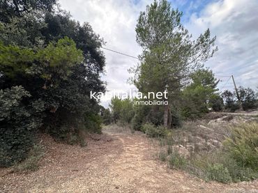 Terrain résidentiel à vendre à Alfafara
