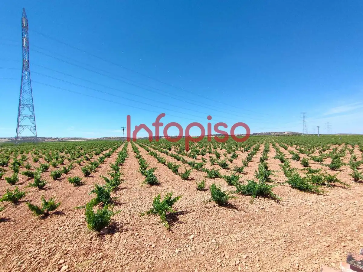 Lands and plots for sale in Valdepeñas, imagen 8