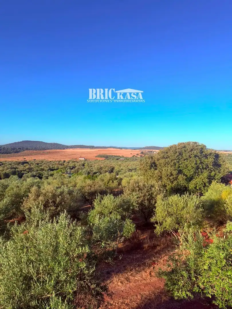 Casa o chalet en venta en Cáceres con Trastero, Piscina y Amueblado