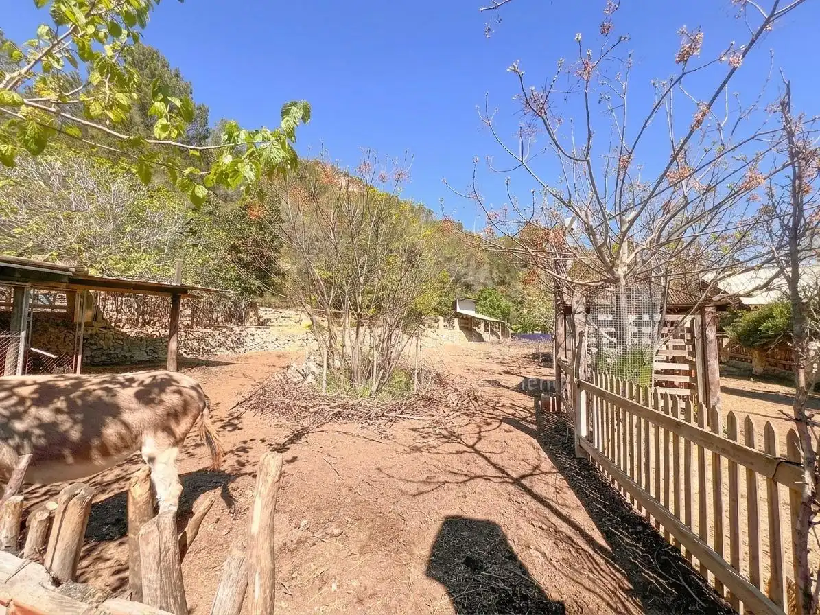 Casa rustica con piscina in vendita a Llíber, imagen 58