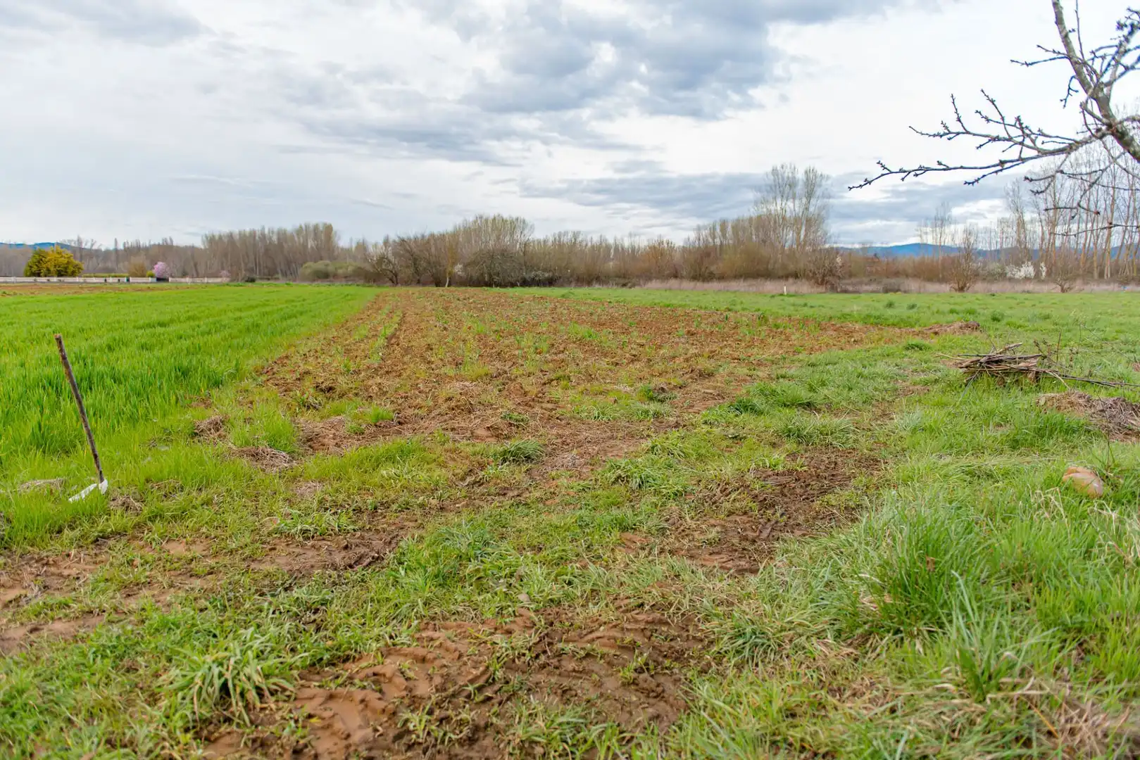 Casa o xalet en venda en Ponferrada amb Calefacció i Jardí privat