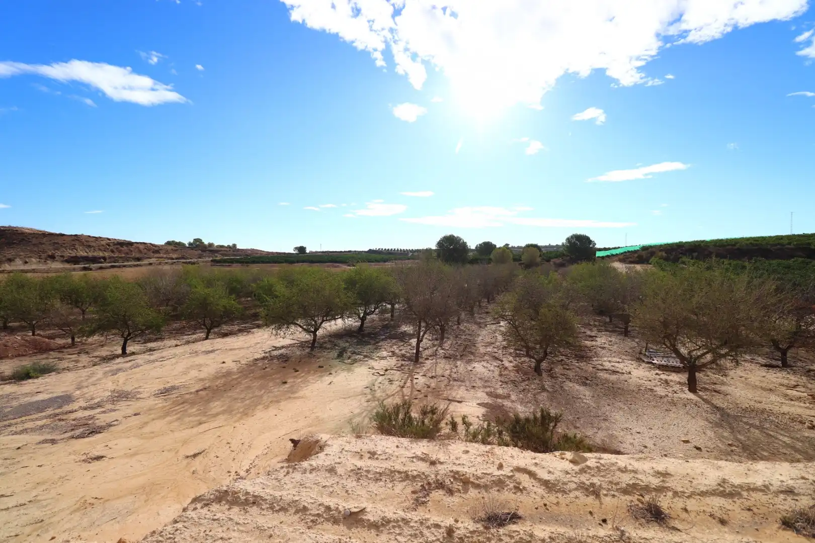 Terreny residencial en venda a Desamparados - Hurchillo - Torremendo, imagen 6